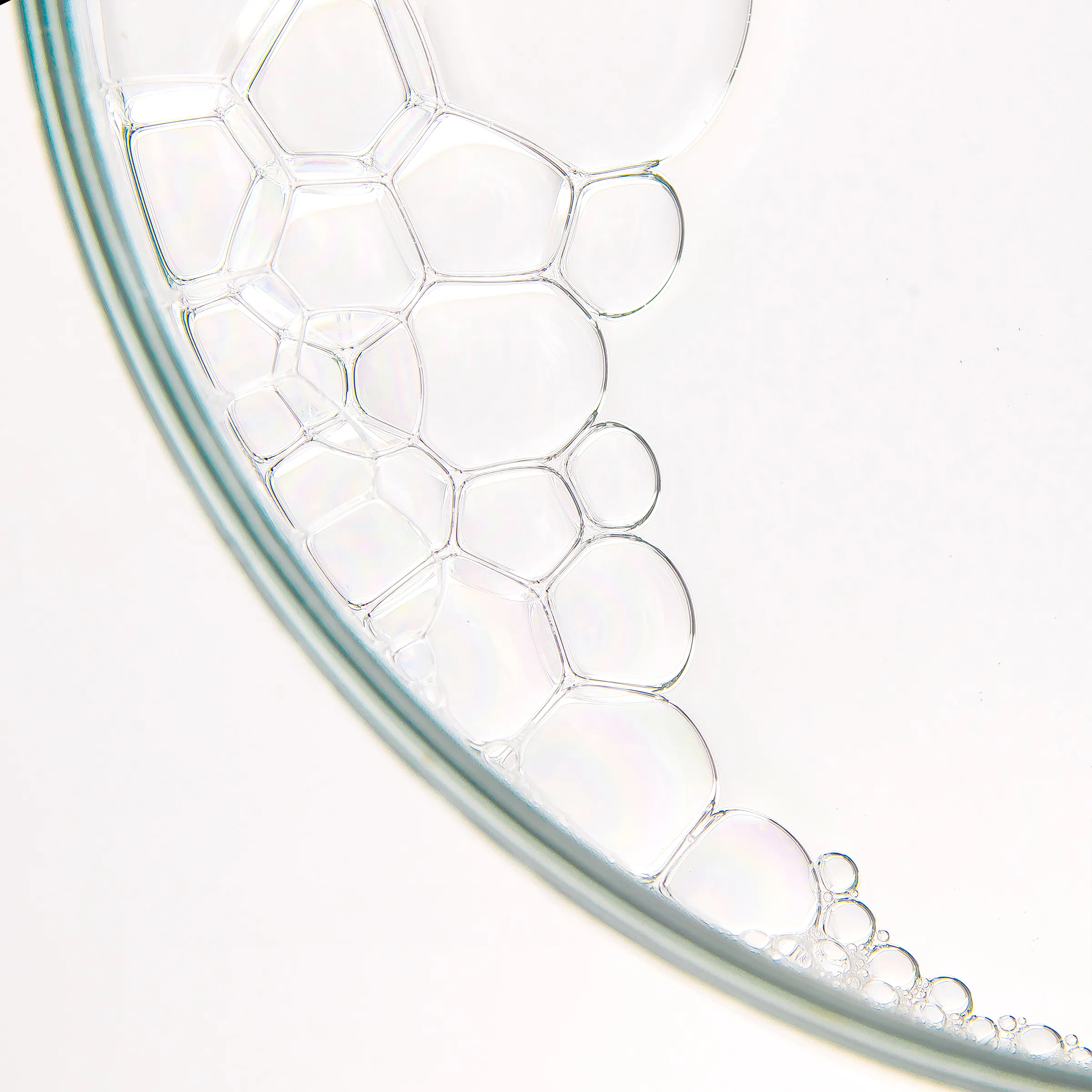 Transparente Scalp-Essence-Textur mit feinen Bläschen am Rand einer Petrischale.