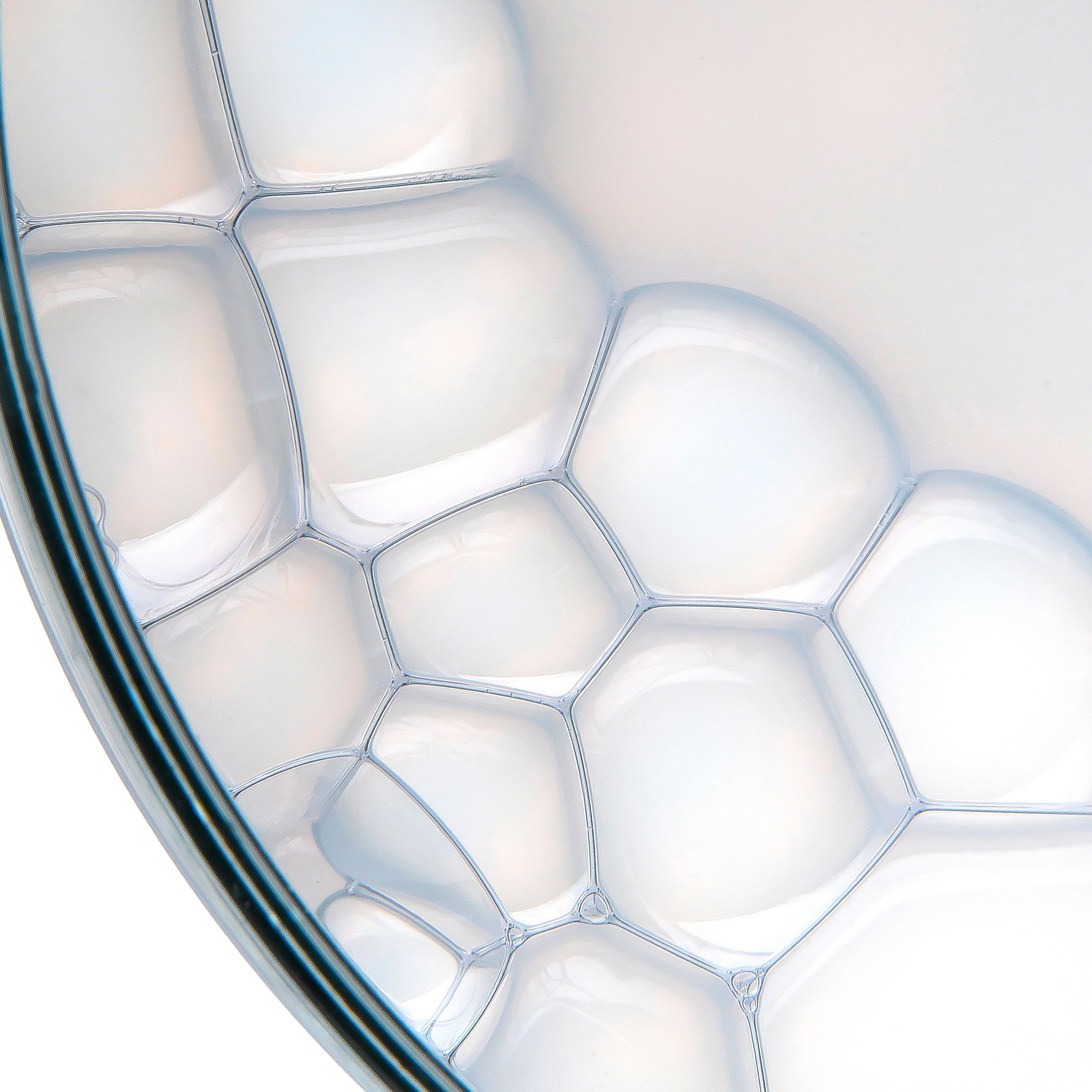 Detailaufnahme einer feinen Schaumstruktur mit transparenten Blasen und filigranen Zellformen auf hellem Hintergrund.